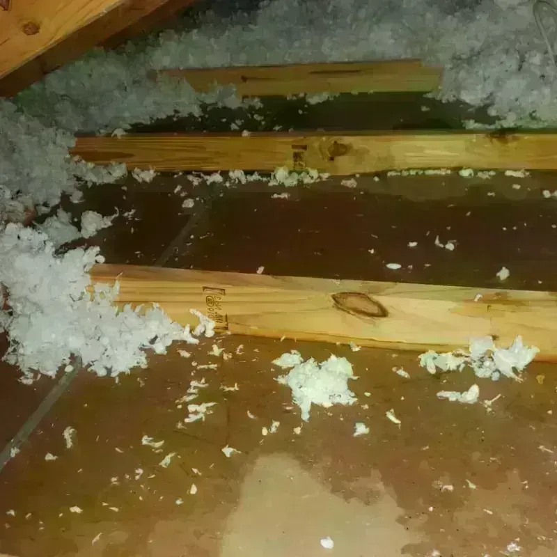 Attic Water Damage in Weber County, UT