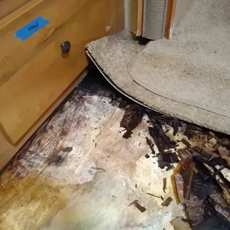 Wood Floor Water Damage in Weber County, UT